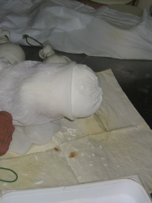 scuola di formaggio-53.JPG